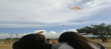 Cometas al viento
